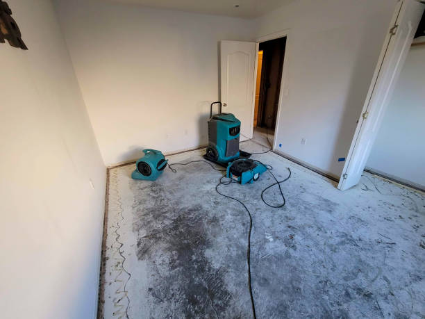 Best Water damage restoration near me  in East Bethel, MN