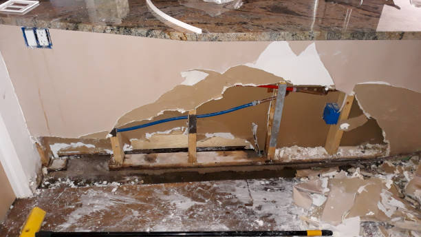 Best Ceiling water damage repair  in East Bethel, MN