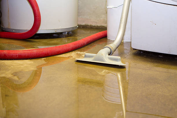 Best Water damage restoration near me  in East Bethel, MN