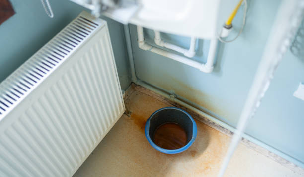 Best Carpet water damage restoration  in East Bethel, MN